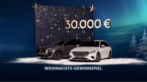 Der große Gewinnspiel-Adventskalender - 2025 von GewinnArena